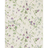 Cole & Son SWEET PEA VIOLET Wallpaper