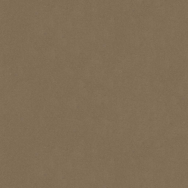 Lee Jofa OXFORD VELVET TAUPE Upholstery Fabric