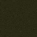 Lee Jofa OXFORD VELVET FOREST Upholstery Fabric