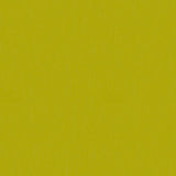 Kravet FLIRT TURTLE Fabric