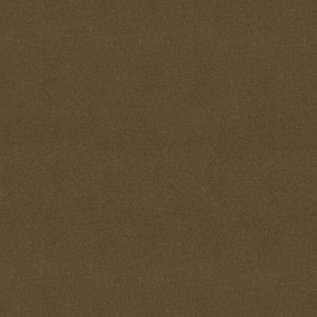 Kravet STATUESQUE MOCHA Upholstery Fabric