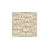 Kravet Proverb Antiqued Fabric