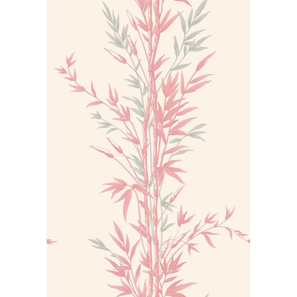 Cole & Son BAMBOO PINK Wallpaper
