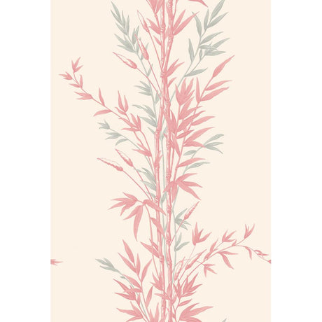 Cole & Son BAMBOO PINK Wallpaper