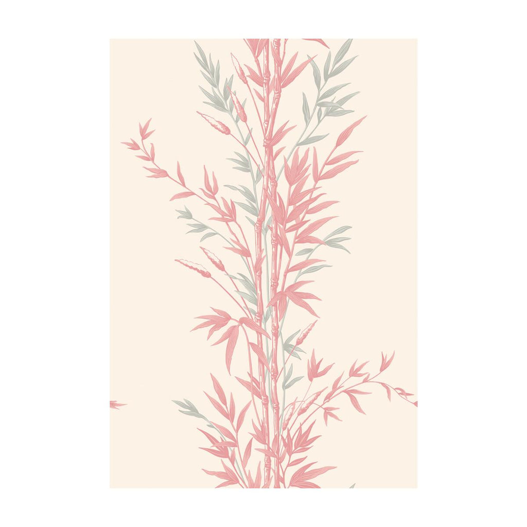 Cole & Son Bamboo Pink Wallpaper