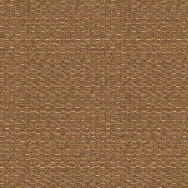 Kravet PILE ON BROWN SUGAR Upholstery Fabric
