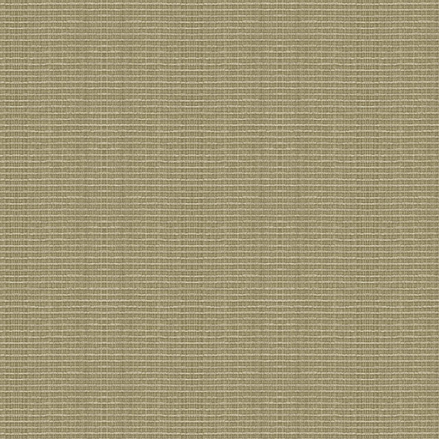 Kravet SMART 32946 21 Upholstery Fabric