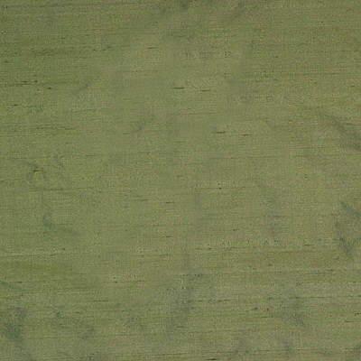 Kravet PAVILLON SILK CACTUS Drapery Fabric