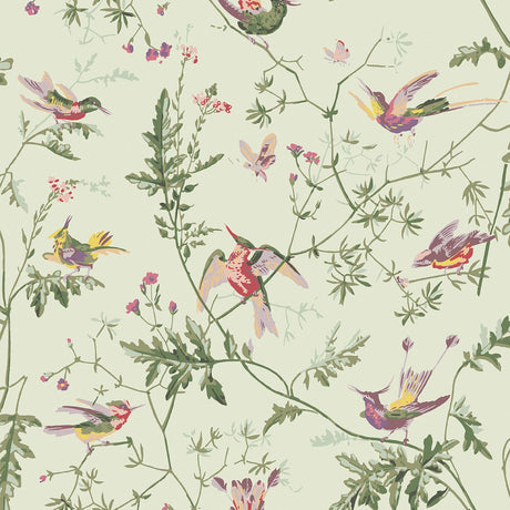 Cole & Son HUMMINGBIRDS GREEN MULTI-COLOUR Wallpaper