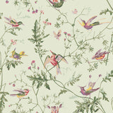 Cole & Son HUMMINGBIRDS GREEN MULTI-COLOUR Wallpaper