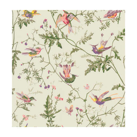 Cole & Son Hummingbirds Green Multi-Colour Wallpaper