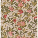 Cole & Son STRAWBERRY TREE PINK & LINEN Wallpaper