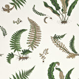 G P & J Baker FERNS ORIGINAL GREEN Wallpaper