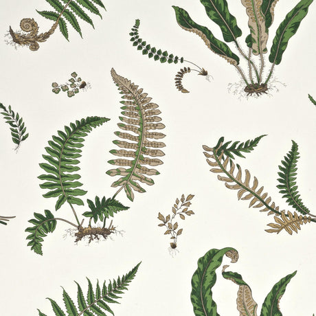 G P & J Baker FERNS ORIGINAL GREEN Wallpaper