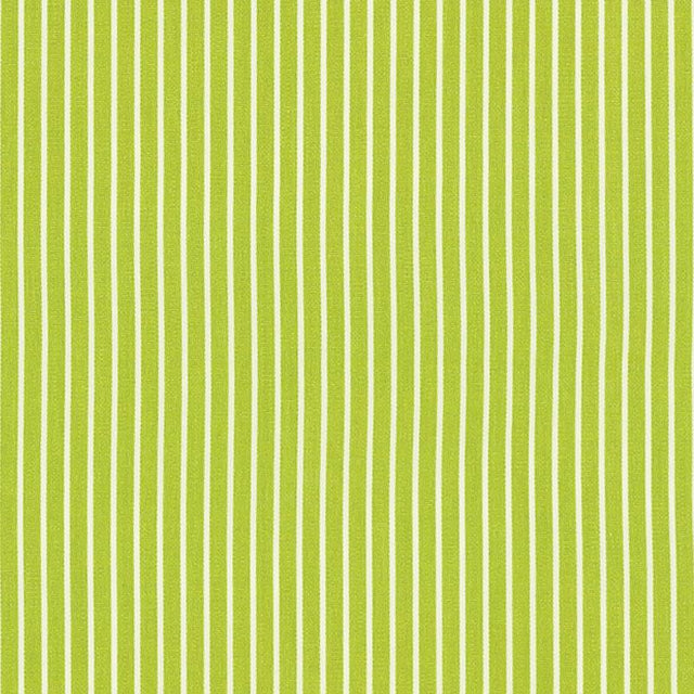 Schumacher Edie Stripe Green Fabric