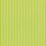 Schumacher Edie Stripe Green Fabric