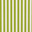 Schumacher Andy Stripe Green Fabric