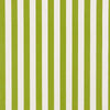 Schumacher Andy Stripe Green Fabric