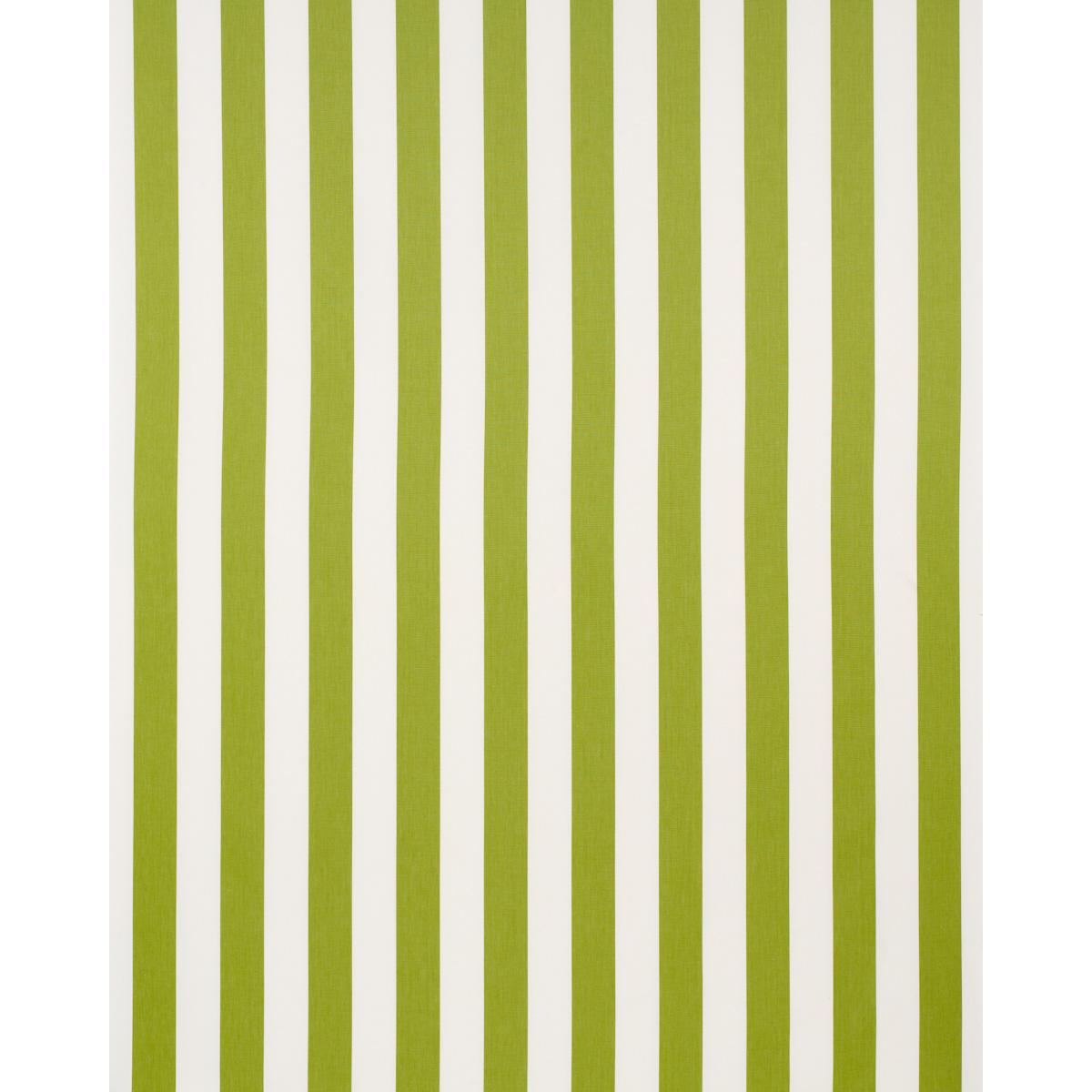 Schumacher Andy Stripe Green Fabric