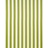 Schumacher Andy Stripe Green Fabric