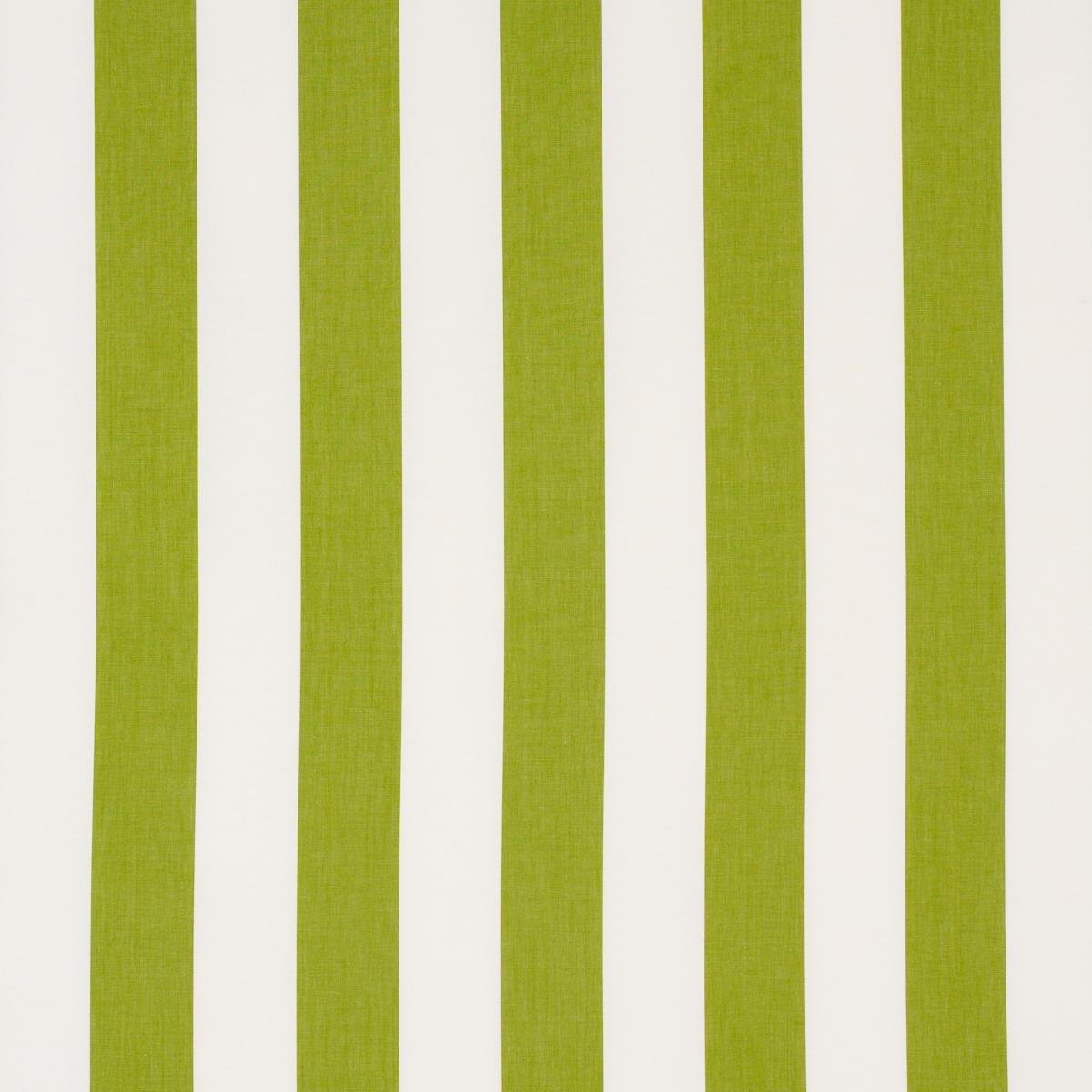 Schumacher Andy Stripe Green Fabric