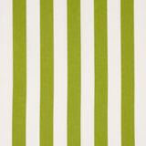 Schumacher Andy Stripe Green Fabric