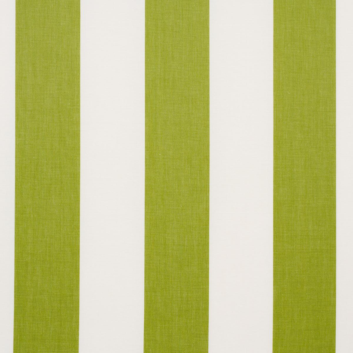 Schumacher Andy Stripe Green Fabric