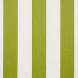 Schumacher Andy Stripe Green Fabric