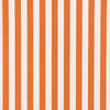 Schumacher Andy Stripe Orange Fabric