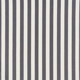 Schumacher James Stripe Charcoal Fabric