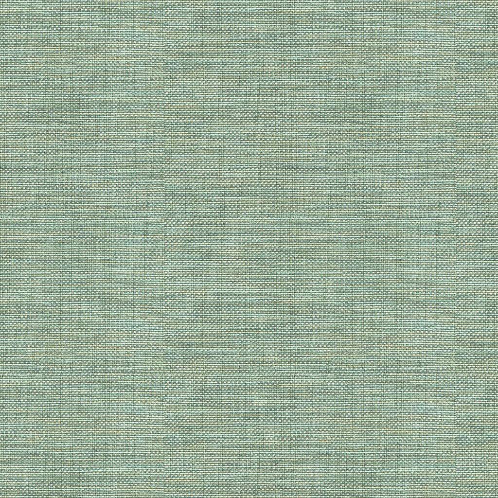 Kravet BASICS 30299 1511 Fabric