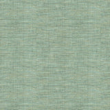 Kravet BASICS 30299 1511 Fabric