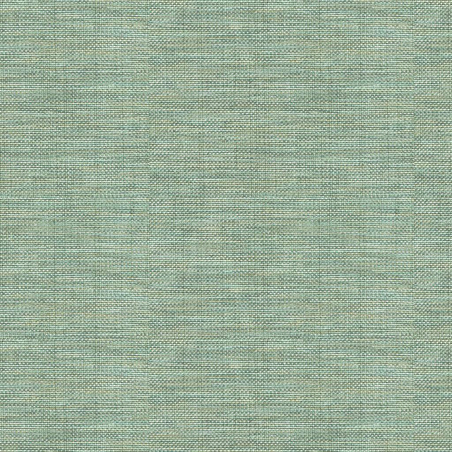 Kravet BASICS 30299 1511 Fabric