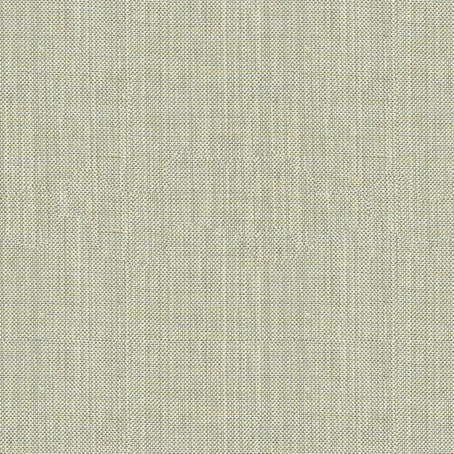 Kravet BASICS 30299 2111 Fabric