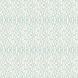 Kravet SOTO BAYSIDE Drapery Fabric