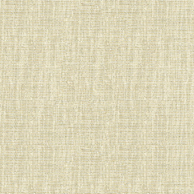 Kravet BASICS 3922 411 Drapery Fabric