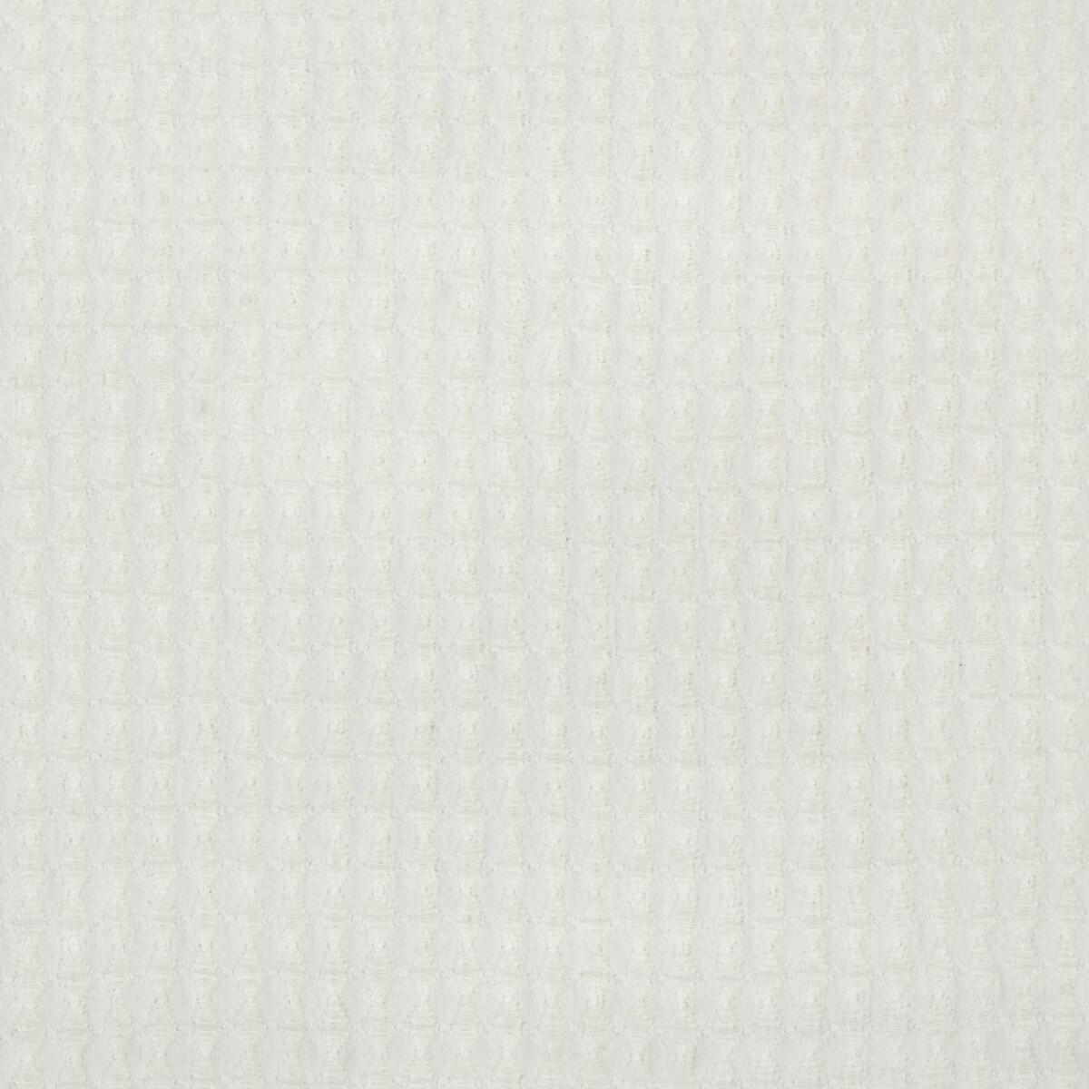 Kravet SCULPTURAL IVORY Fabric