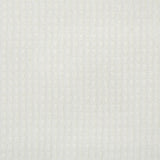 Kravet SCULPTURAL IVORY Fabric