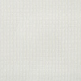 Kravet SCULPTURAL IVORY Drapery Fabric