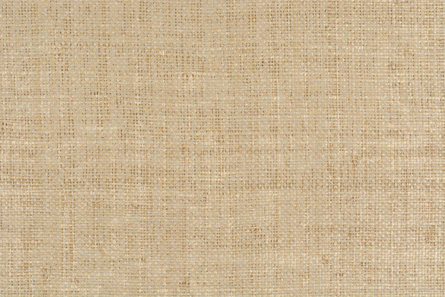 Kravet GILDED RAFFIA RAFFIA Wallpaper