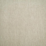 Pindler BAINES CHINO Fabric