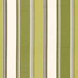 Schumacher Addison Cotton Stripe Vert Fabric