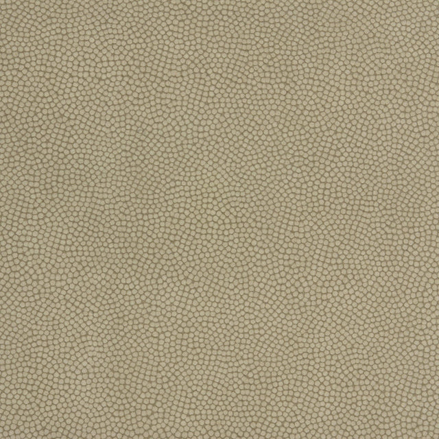 Kravet BEAUTYMARK GREYSTONE Upholstery Fabric