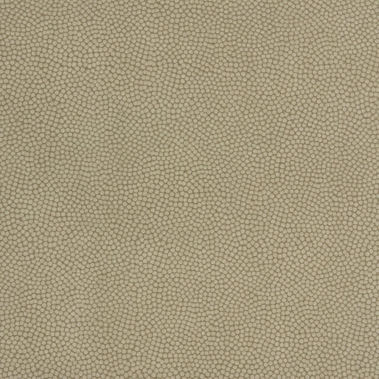 Kravet BEAUTYMARK GREYSTONE Upholstery Fabric