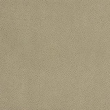 Kravet BEAUTYMARK GREYSTONE Upholstery Fabric