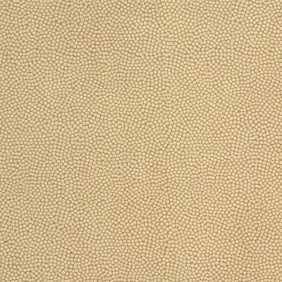 Kravet BEAUTYMARK SANDSTONE Upholstery Fabric