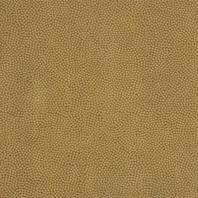 Kravet BEAUTYMARK TEAK Upholstery Fabric