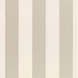 Schumacher Beaufort Awning Stripe Platinum Fabric