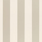 Schumacher Beaufort Awning Stripe Platinum Fabric