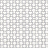 Schumacher Betwixt Zinc/Blanc Fabric